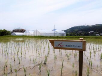 『田んぼオーナー権』を購入し、日和ファーム様を応援！